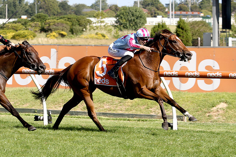 MARABI winning the Neds Oakleigh Plate.