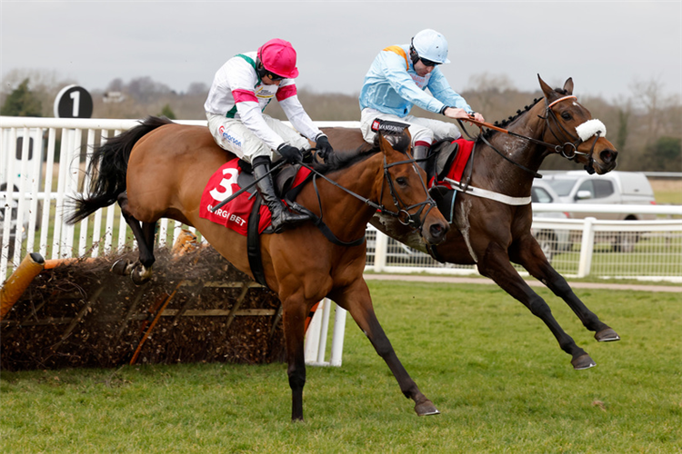 MARIE'S ROCK (blue) winning the Virgin Bet Warwick Mares' Hurdle (Listed) (GBB Race)