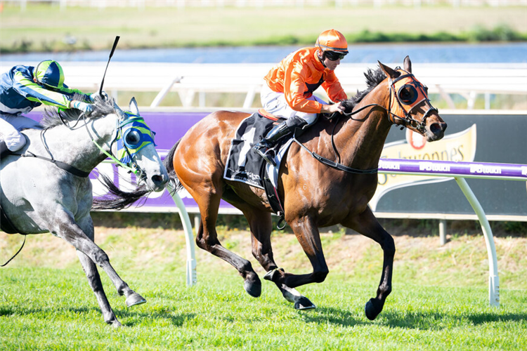 MAROCCHINO winning the Glenroy Chaff-A.J. Scahill Cup