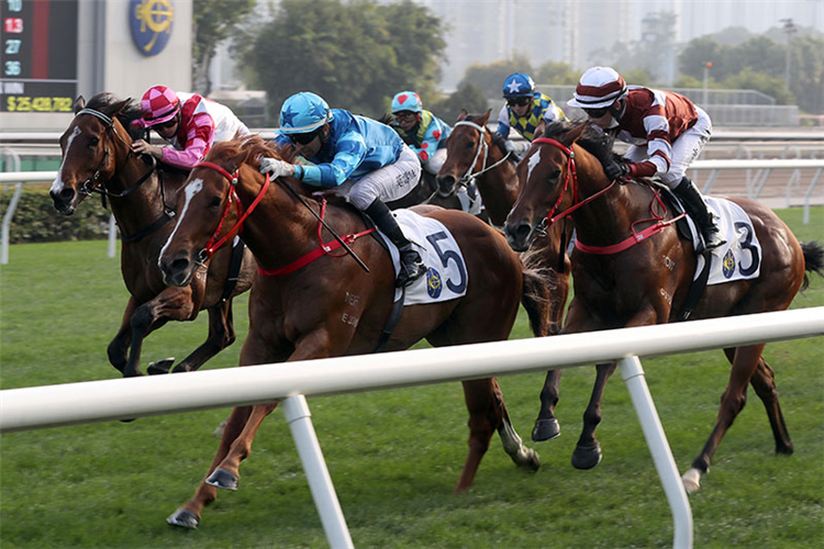 MASTER EIGHT(No. 5) winning the The Bauhinia Sprint Trophy