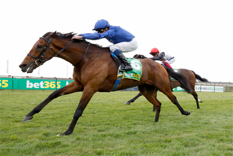 MASTER OF THE SEAS winning the bet365 Earl Of Sefton Stakes (Group 3)
