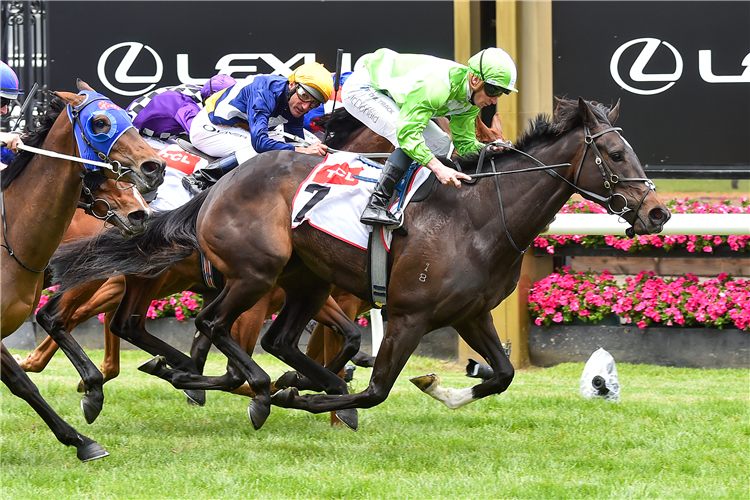 Matron Bullwinkel Wins Tcl Tv Stakes: Post Race Trainer And Jockey 