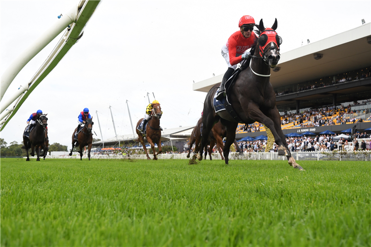MAZU winning the Irresistible Pools Darby Munro Stakes at Rosehill in Australia.
