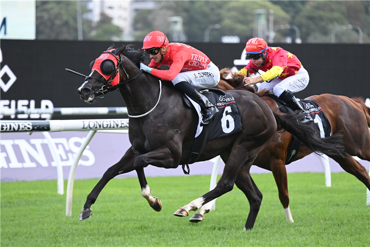 MAZU winning the Arrowfield Sprint at Randwick in Australia.