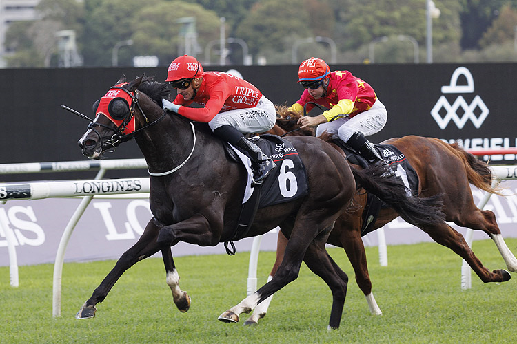 MAZU winning the Arrowfield Sprint