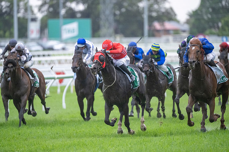 MAZU winning the Tab Doomben 10,000