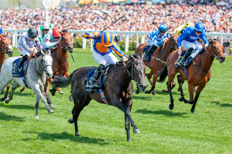 MEDITATE winning the Albany Stakes at Royal Ascot in England.