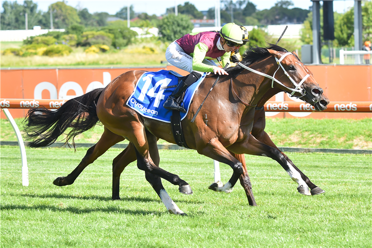 Melba Storm Wins Quayclean Handicap: Post Race Trainer And Jockey ...