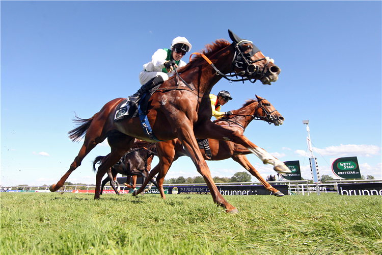 Mendocino In HistoryMaking Bid At Longines Hkir Racing and Sports