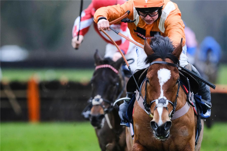 METIER winning the Sovereign Handicap Hurdle (GBB Race)