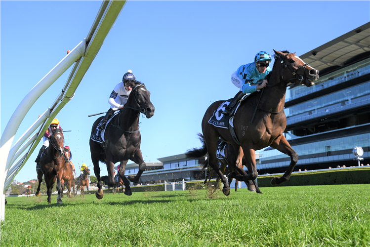 MIDNIGHT IN TOKYO winning the Home Affairs At Coolmore Hcp at Randwick in Australia.