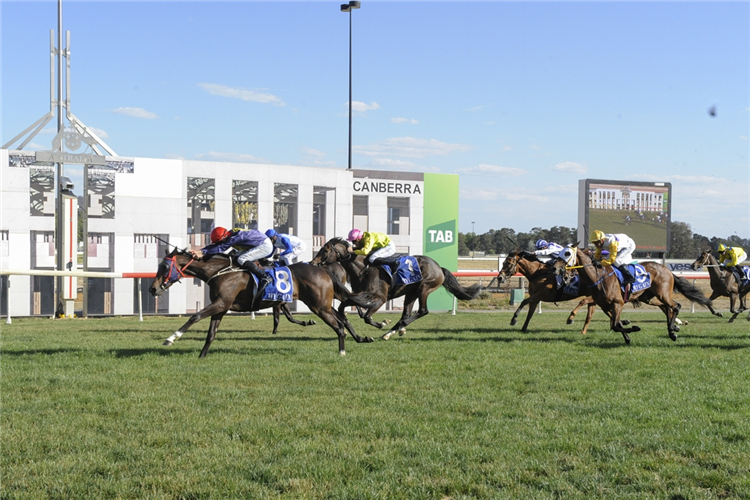 MILAMOO winning the Form 1 Hcp (C1) at Canberra in Australia.