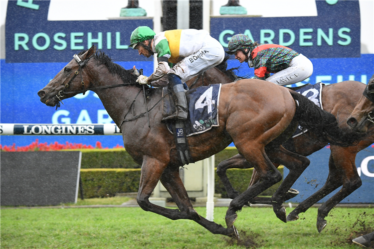 MONTE DITTO winning the Midway (Bm72) at Rosehill in Australia.