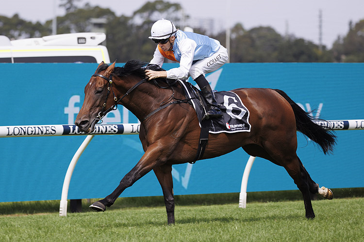 MONTEFILIA winning the Ranvet Stks