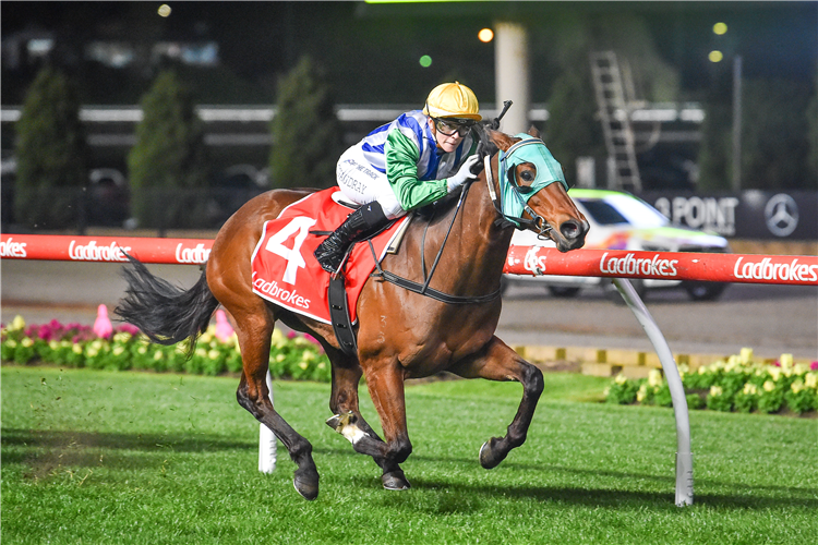 MOUSE ALMIGHTY winning the Resolve Environmental Handicap at Moonee Valley in Moonee Ponds, Australia.