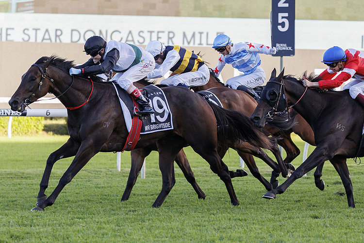 MR BRIGHTSIDE winning the The Star Doncaster Mile