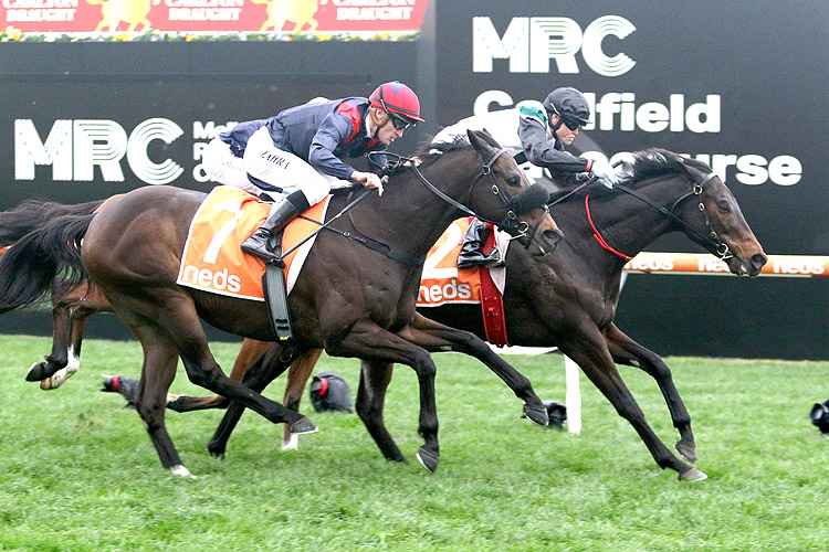 MR BRIGHTSIDE winning the P.B. Lawrence Stakes