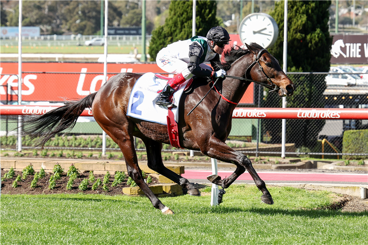 MR BRIGHTSIDE winning the Clamms Seafood Feehan Stakes at Moonee Valley in Australia.