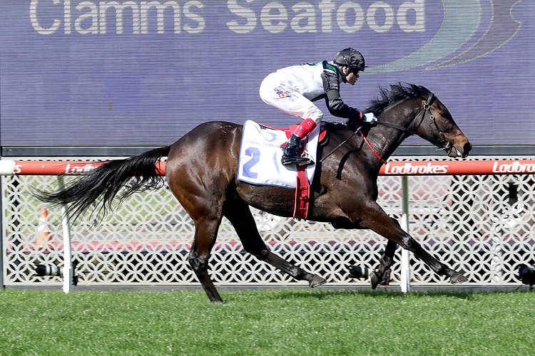 MR BRIGHTSIDE winning the Clamms Seafood Feehan Stakes