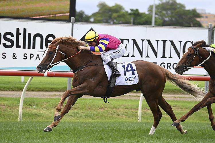 MR MOZART winning the Acy Securities Doncaster Prel.