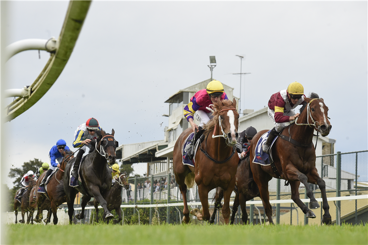 MR MOZART winning the B'town Workers H'bury Guineas at Hawkesbury in Australia.