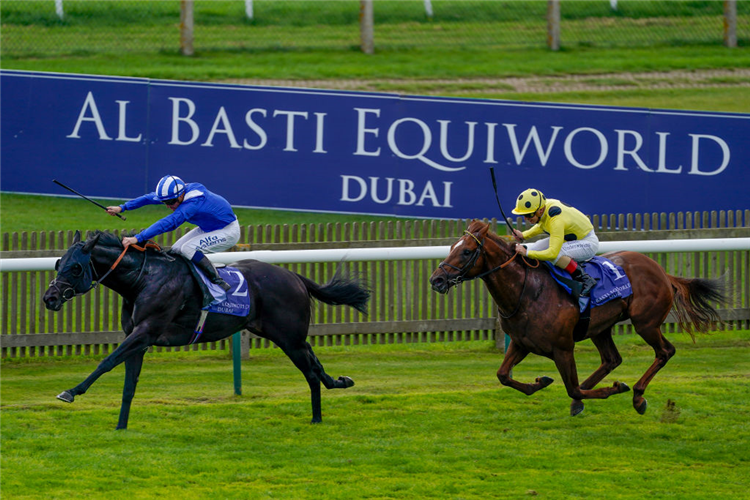 MUTASAABEQ winning the Joel Stakes at Newmarket in England.