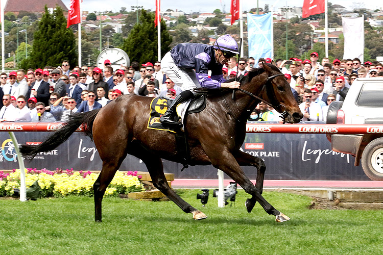 MY OBERON winning the Schweppes Crystal Mile
