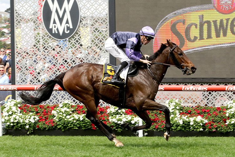 MY OBERON winning the Schweppes Crystal Mile.