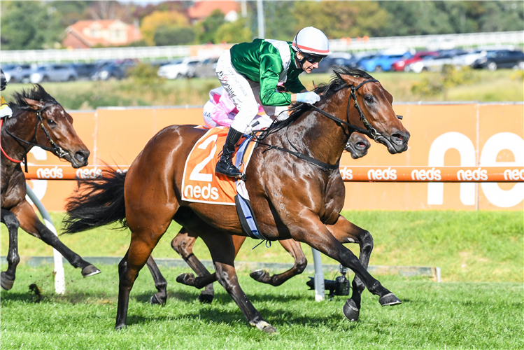 NAJMATY winning the Geoff Murphy Hcp at Caulfield in Australia.