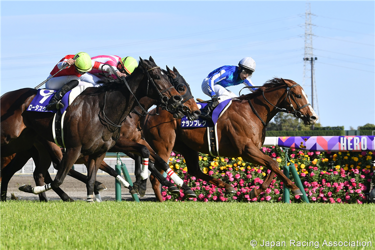 NARAN HULEG winning the Takamatsunomiya Kinen at Chukyo in Japan.