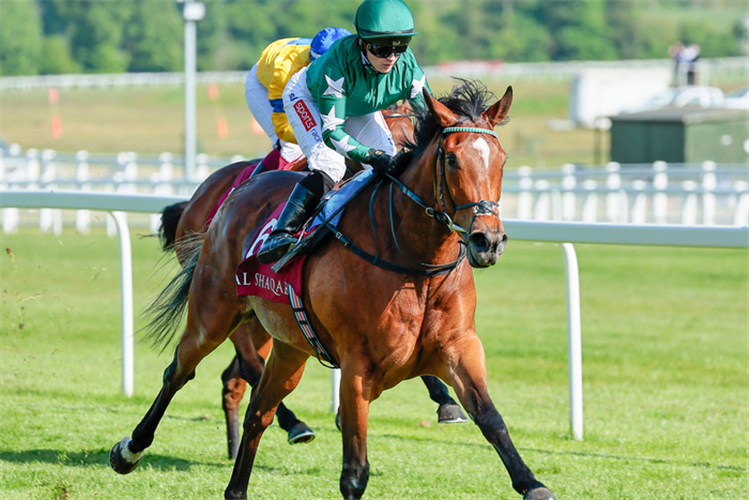 NASHWA was the winner of a Prix de Diane.