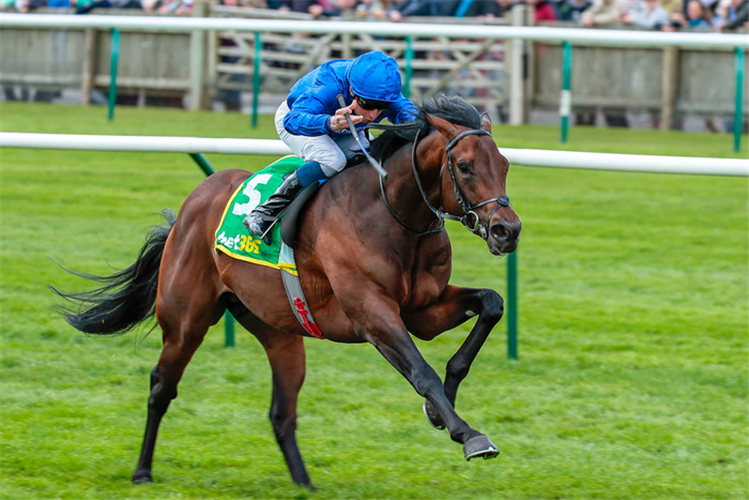 NATIVE TRAIL winning the bet365 Craven Stakes (Group 3)