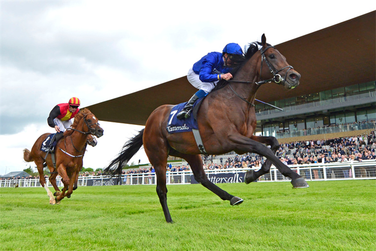 NATIVE TRAIL winning the Irish 2,000 Guineas.