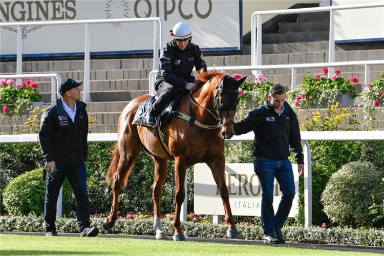 Nature Strip in the Parade Ring with Chris Waller (left)