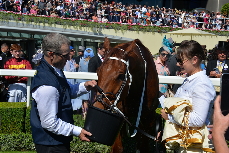 NATURE STRIP after winning the King's Stand Stakes