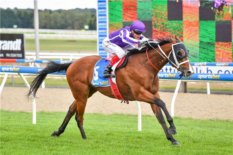 NAVAL SEAL winning the Global Turf Mdn Plate at Ballarat in Australia.