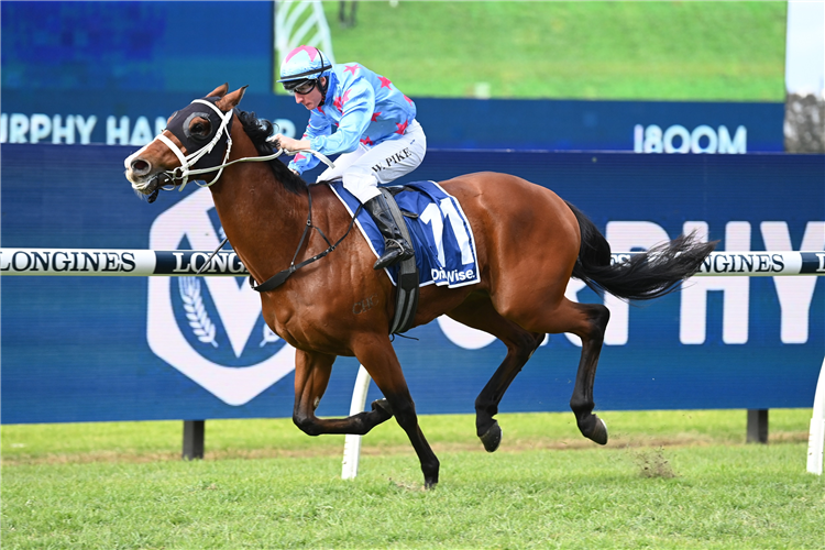 NAVAL SEAL winning the Sir Henry Bolte Qlty at Rosehill in Australia.