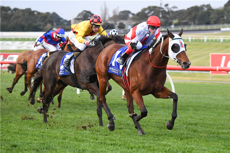 NERONE winning the The Big Screen Company (Bm78) at Sandown Hillside in Australia.