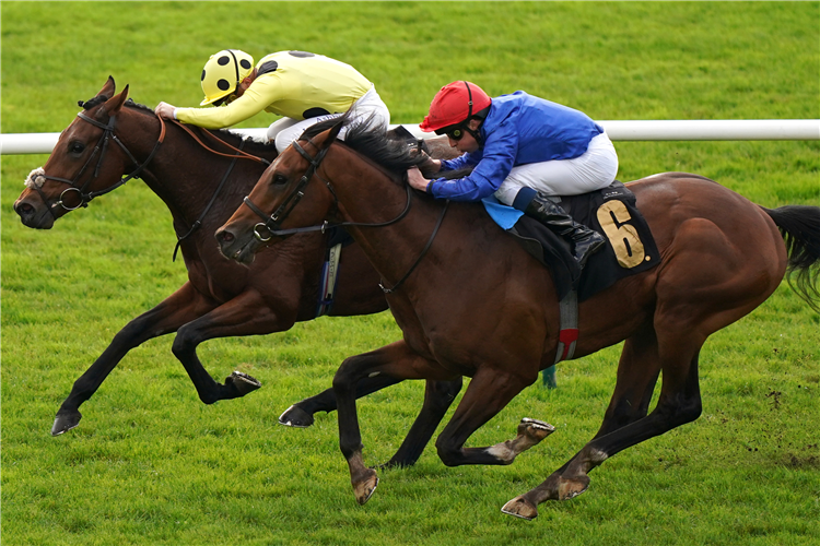 New London, who is expected to enhance his Derby claims with victory in the Boodles Chester Vase.