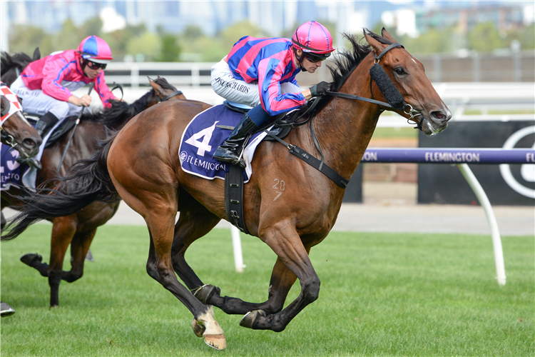 NICOLINI VITO winning the Vrc Event Staff (Bm70) at Flemington in Australia.