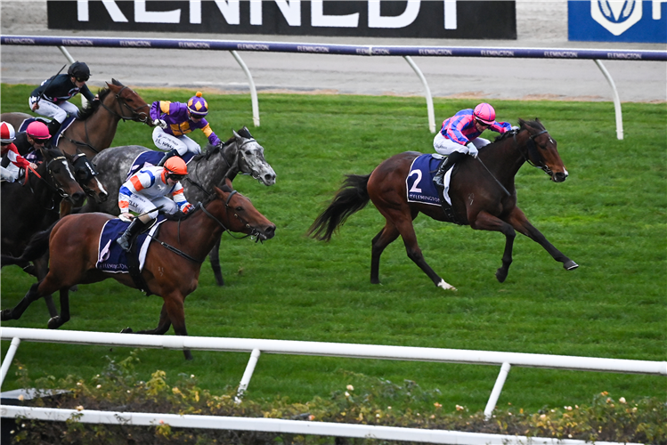 NICOLINI VITO winning the Lachal Hcp at Flemington in Australia.