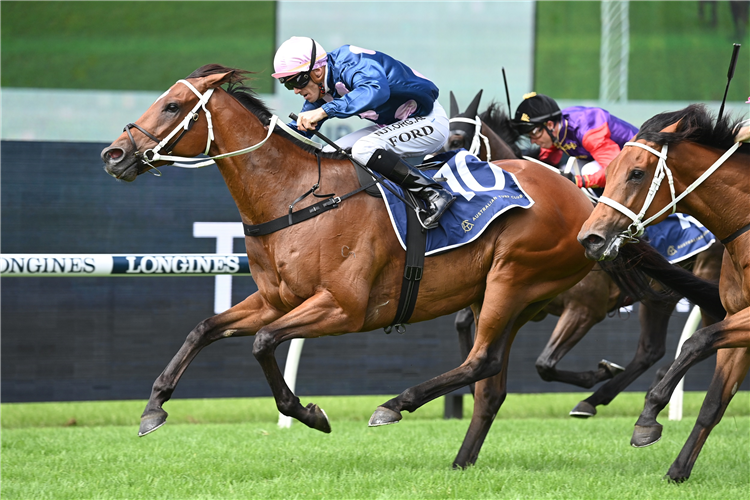 NO COMPROMISE winning the Queen's Cup N E Manion Cup at Rosehill in Australia.