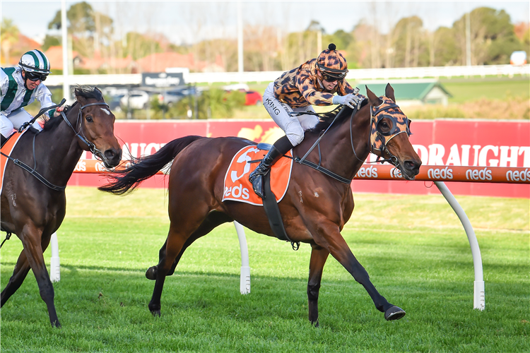 NO EFFORT winning the Neds Punters Toolbox (Bm100) at Caulfield in Australia.