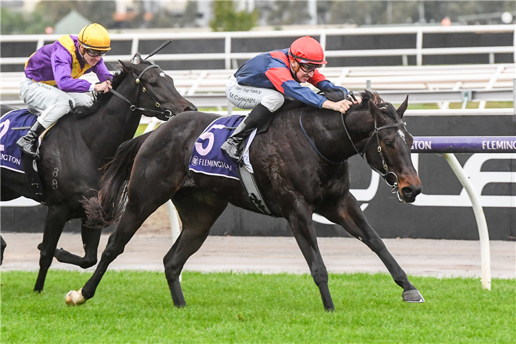 NO WAY EVER winning the Flemington Fillies Sprint at Flemington in Australia.