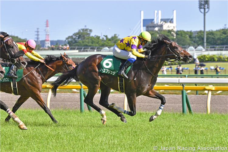 NORTH BRIDGE winning the Epsom Cup at Tokyo in Japan.