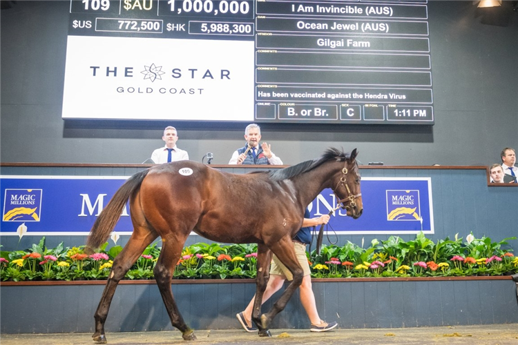 The $1m I Am Invincible colt from last year’s National Weanling Sale.