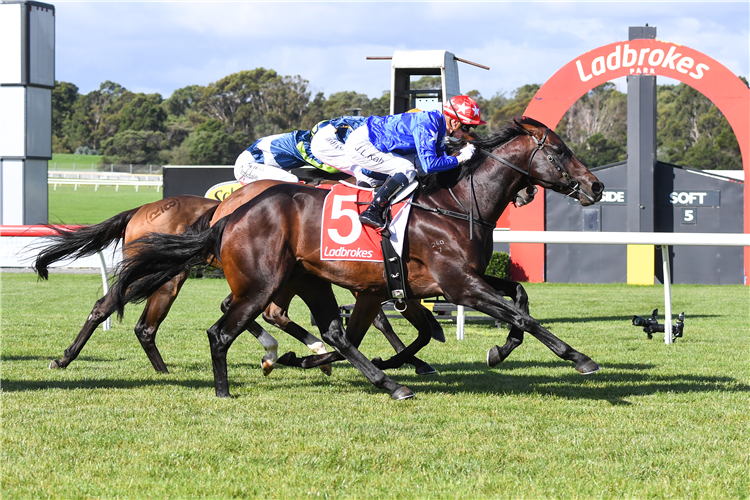 OLD FLAME winning the Ladbrokes Bet Ticker Handicap at Ladbrokes Park Hillside in Springvale, Australia.