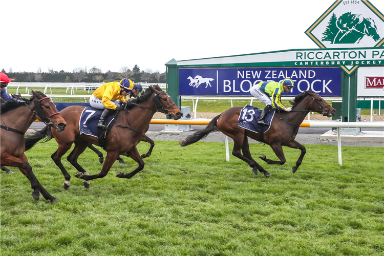 ONE KISS winning the NEW ZEALAND BLOODSTOCK CANTERBURY BELLE STAKES