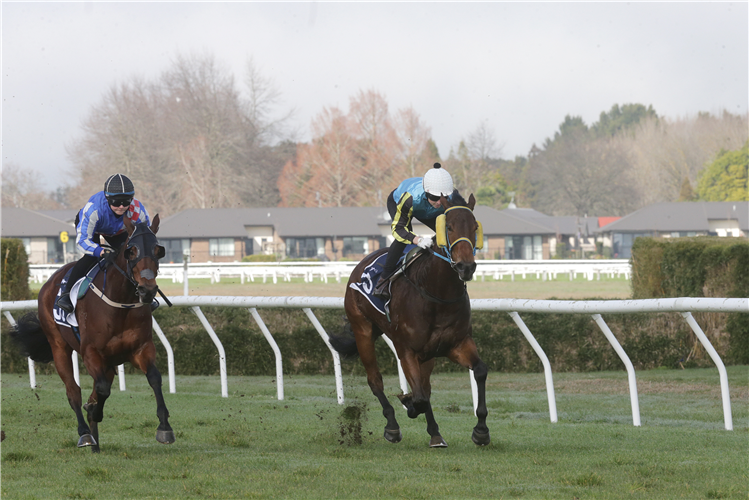 One More Time (inside) winning her trial at Te Rapa on Thursday.