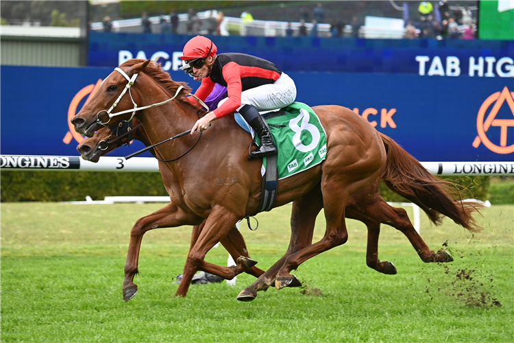 Pepper Hopes Timely Highway Win Earns Ridge A Kosciuszko Berth | Racing ...